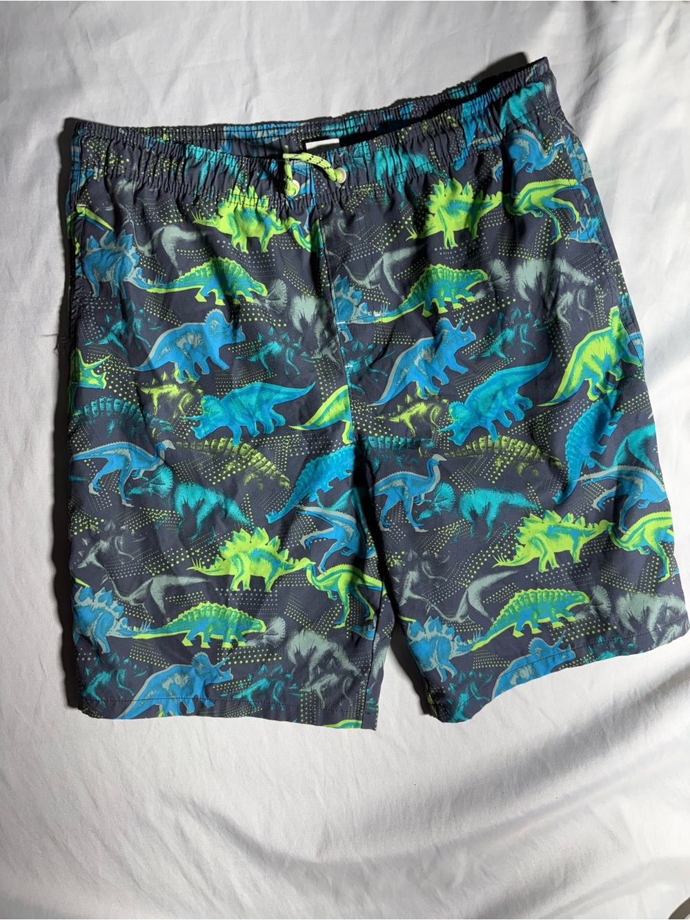wonder nation Blue & Neon Green Dinosaur Swim Trunks